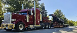 roadside assistance membership